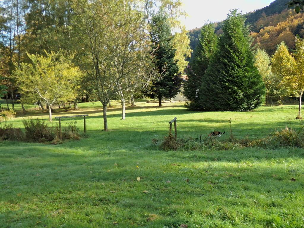 Hotel-Spa & Restaurant Logis Domaine Langmatt ムルバッハ エクステリア 写真